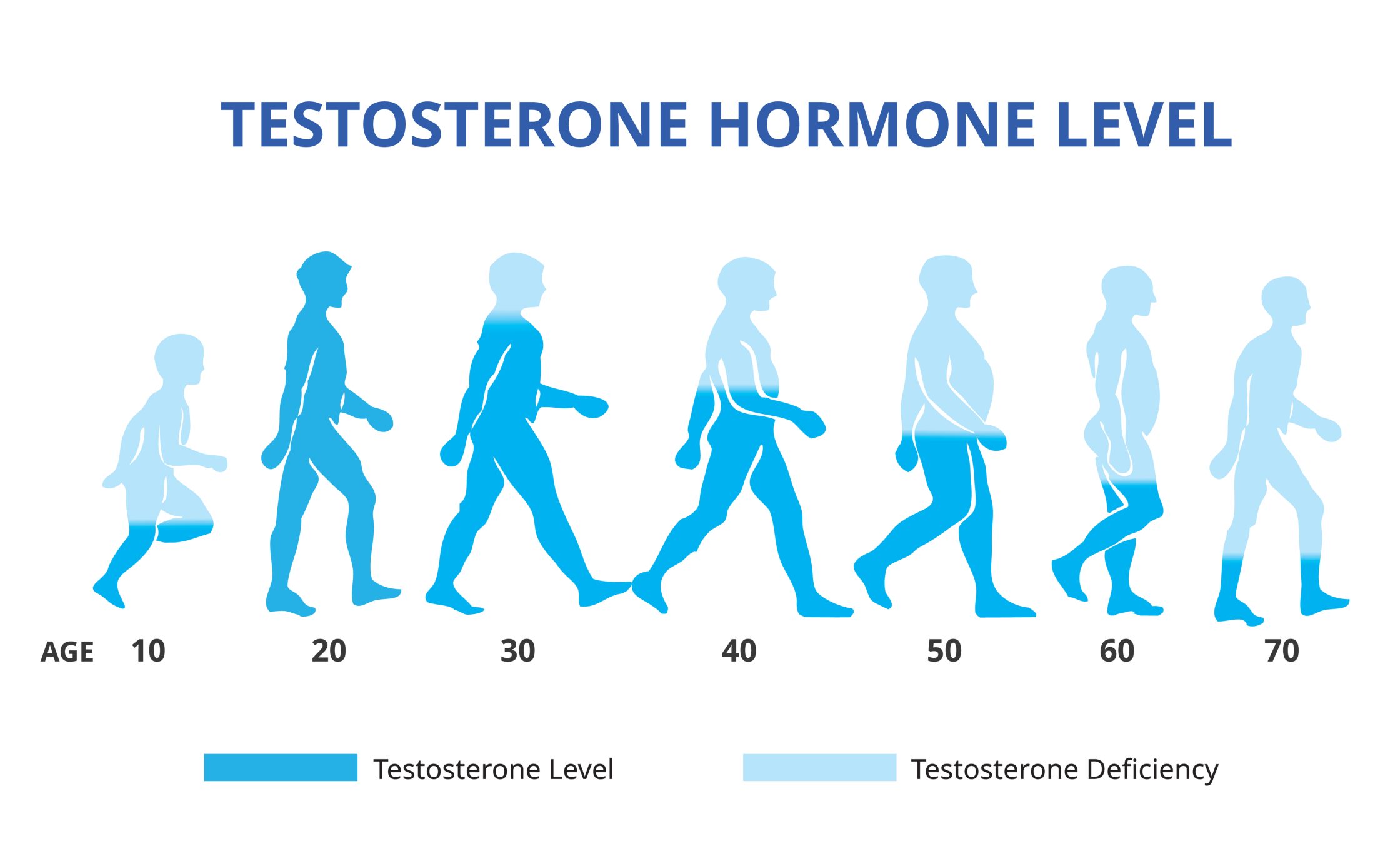 , Does Masturbation Decrease Testosterone?